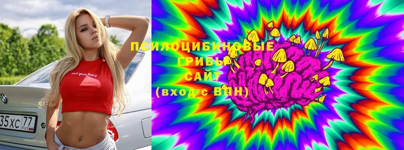 Галлюциногенные грибы Magic Shrooms  закладки  OMG ссылка  Серпухов 